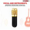 5 Core Studio Condenser Microphone Bundle Professional Adjustable Boom Arm Stand Shock Mount Pop Filter External USB Sound Card Foam Cover for Recordi